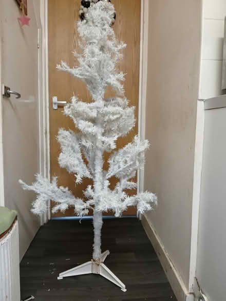 Photo of free White Christmas tree (Cheddington LU7) #1