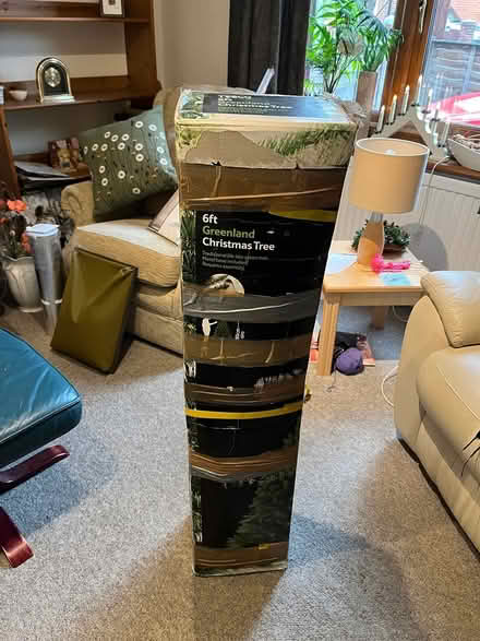 Photo of free Christmas Tree (Brantham CO11) #1