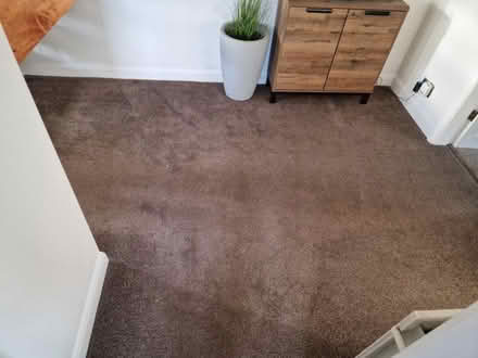 Photo of free Quality Carpet & Underlay (WF4) #2