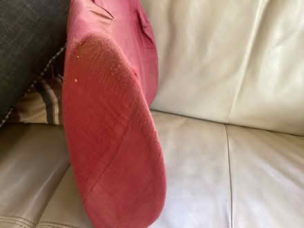 Photo of free Old back support (Piedmont) #2