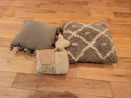 Photo of free 2 cushions (Dundrum) #1