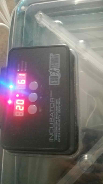 Photo of free Exo Terra Incubator (southey green S5) #2