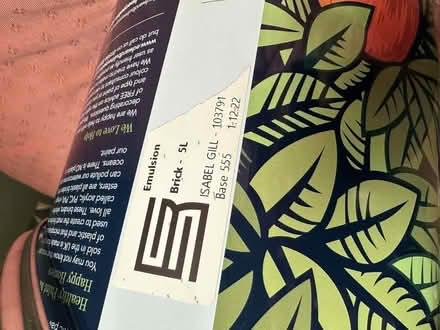 Photo of free high quality edward bulmer emulsion paint (Putney SW15) #2