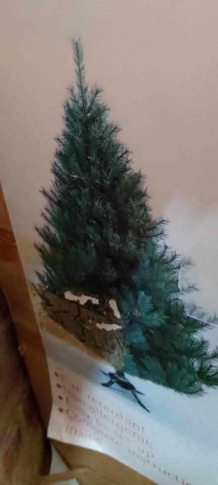 Photo of free Christmas tree (Emmbrook RG41) #1