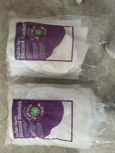 Photo of free Christmas items (Billerica Center) #2