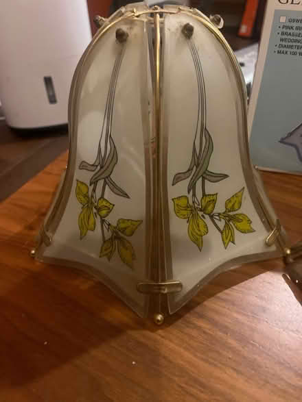 Photo of free 3x Glass pendant ceiling shade (New Cross SE14) #2
