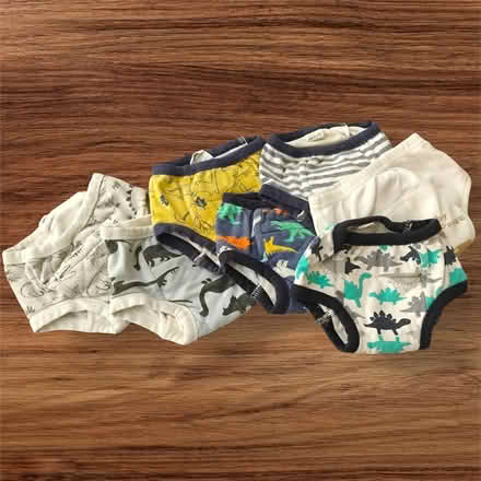 Photo of free 12-24m Training Underwear (Darien) #1