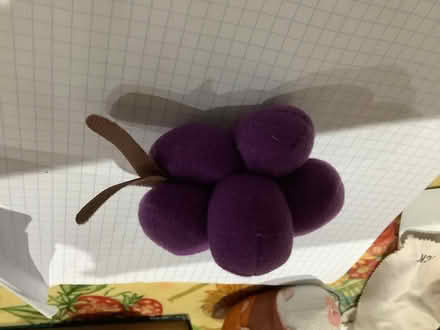 Photo of free Grapes soft toy (Brampton S40) #1