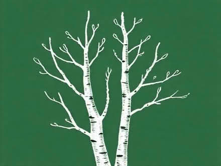 Photo of free White painted glittery birch twigs (Wandsworth Common SW12) #1