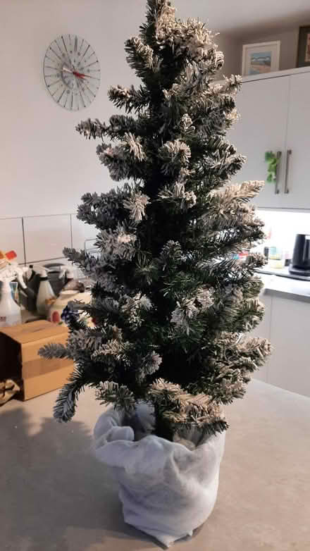 Photo of free 3ft christmas tree (peacehaven) #1