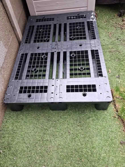 Photo of Plastic pallet (BN2) #1