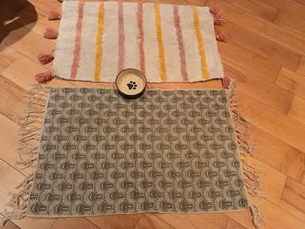 Photo of free Two small mats (Dundrum) #1
