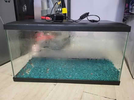 Photo of free Fish tank (Dursley) #1