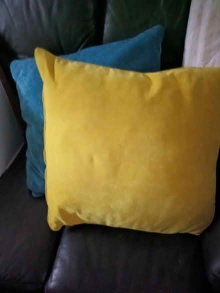 Photo of free Cushions (Reddingmuirhead FK2) #3