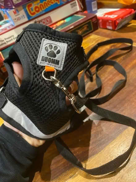 Photo of free Small pet walking harness (Queens Park W10) #3