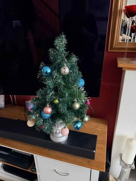 Photo of free Little Christmas tree (Whitton TW3) #1