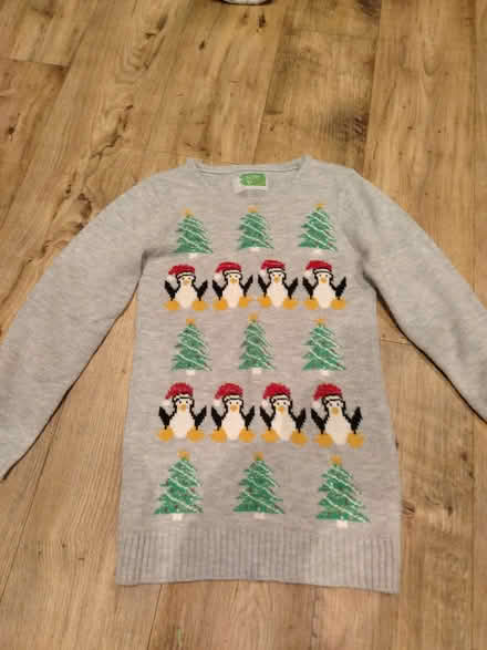 Photo of free Christmas jumper fit 8-10 year old (Northcourt OX14) #1