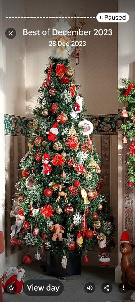 Photo of free Christmas tree (Hollingbury BN1) #1