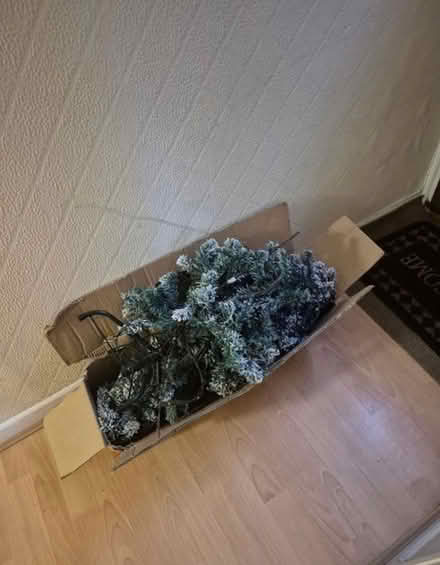 Photo of free Christmas tree (Portsmouth PO2) #1