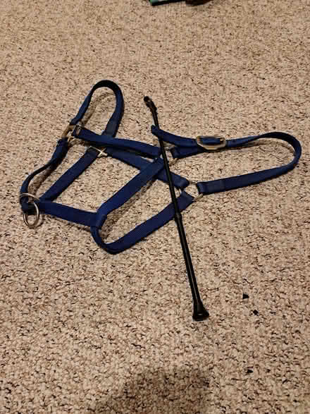 Photo of free Horse bridal and riding crop (South Barrhaven - Stonebridge) #1