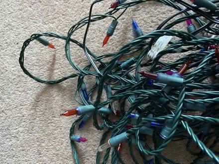 Photo of free Traditional twinkling multicoloured christmas lights (Spacey Houses HG3) #2