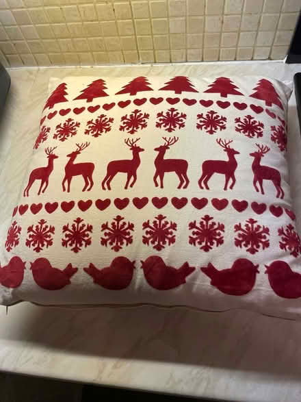 Photo of free Christmas cushion (Yarnton ox51nd) #1
