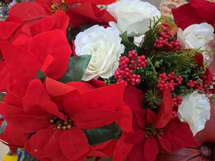 Photo of free Christmas Flowers as photo (Southport PR8) #1