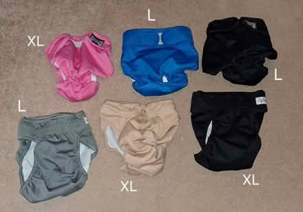 Photo of free Large washable dog nappies (LE2) #1