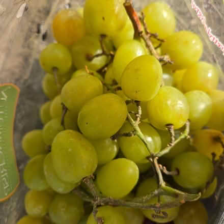 Photo of free Fresh Grapes (Chiquita Av MtnVw) #1