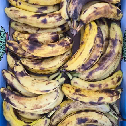 Photo of free Over Ripe Bananas (Chiquita Av MtnVw) #2