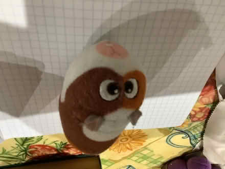 Photo of free Hamster soft toy from “The secret life of pets.” (Brampton S40) #1