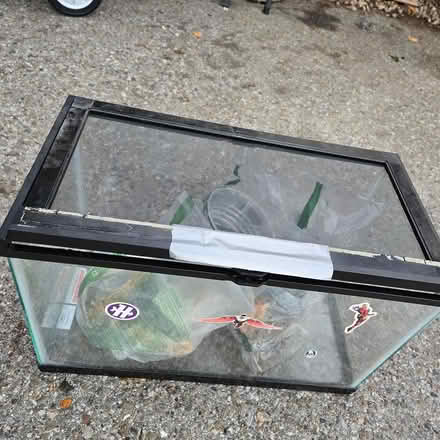 Photo of free Terrarium (Chiquita Av MtnVw) #3