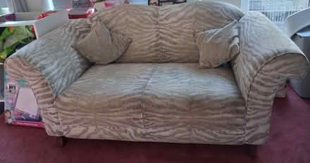 Photo of free 2 seater Zebra sofa (CM3 6JG) #1