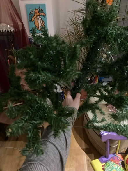 Photo of free Christmas tree part (Leeds city centre, LS12) #1