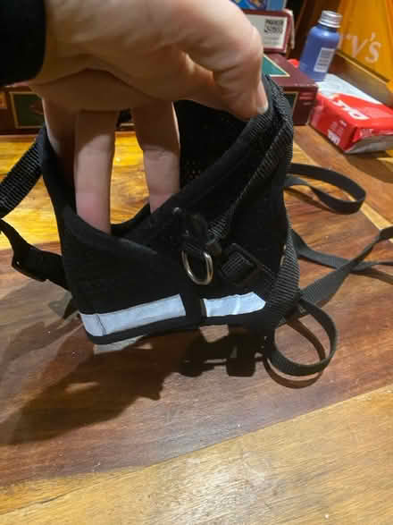 Photo of free Small pet walking harness (Queens Park W10) #2