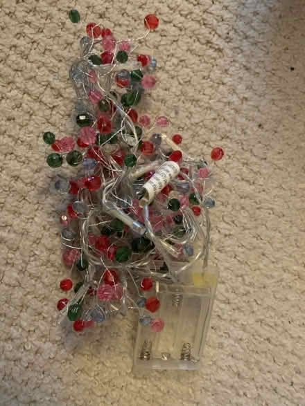 Photo of free Fairy lights (Morningside/Comiston EH10) #1