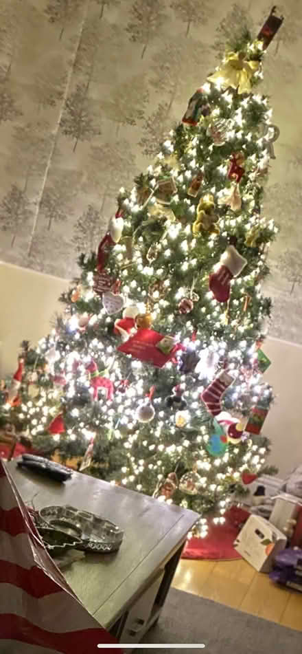 Photo of free Christmas Tree (Sandyford Dublin 18) #1