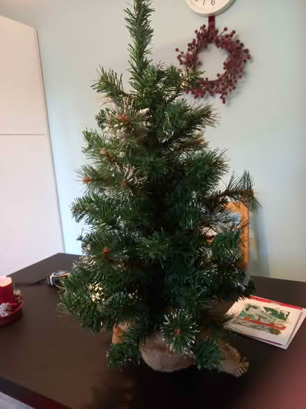 Photo of free Small Christmas tree (Clifton, York YO30 6JS) #1