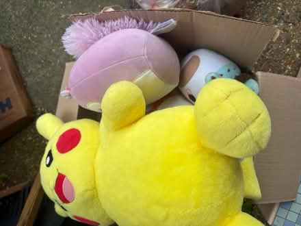 Photo of free Box of plushies (BN2) #1