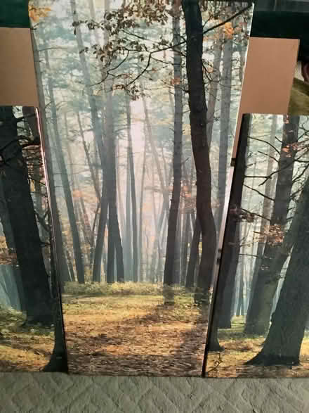 Photo of free 5 Piece Canvas Print (Cottingham HU16) #2