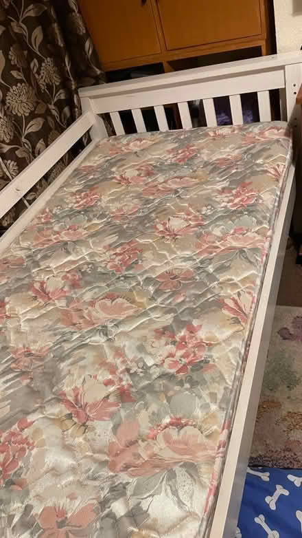 Photo of free Single bed and mattress (Underdale SY2) #1