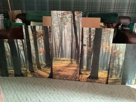 Photo of free 5 Piece Canvas Print (Cottingham HU16) #1
