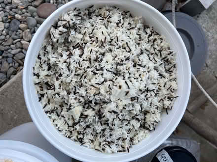 Photo of free White/wild Rice (Lake City/Meadowbrook) #1