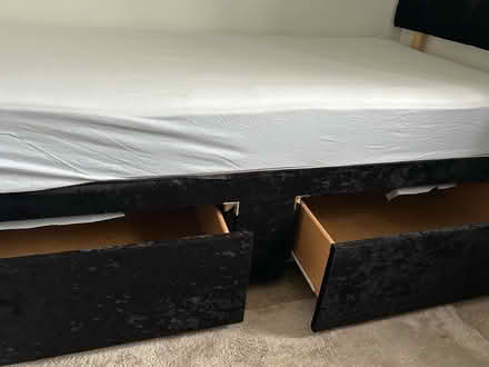 Photo of free Black Velvet Single Bed (TN28) #2