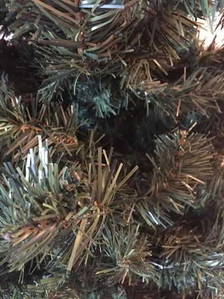 Photo of free 7ft Artificial Christmas Tree (Middlewich) #2