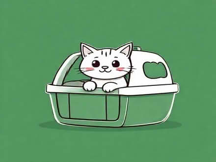 Photo of Cat carrier (Burstwick HU12) #1