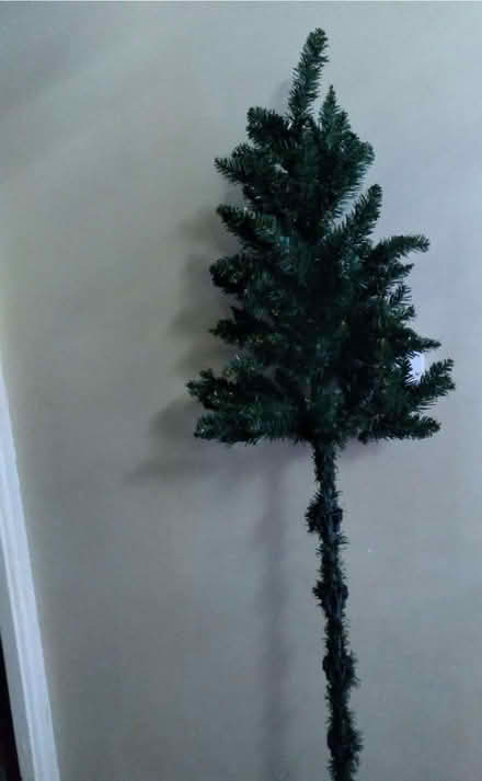 Photo of free Christmas tree (2ft) (Earls Barton NN6) #1