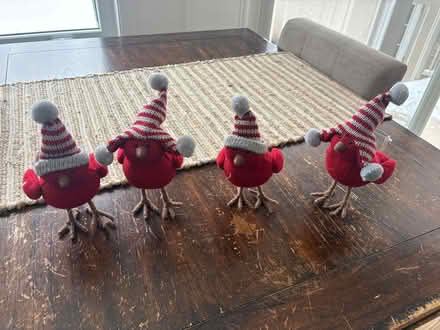 Photo of free 4 little Christmas/winter birds (Kanata Lakes) #1