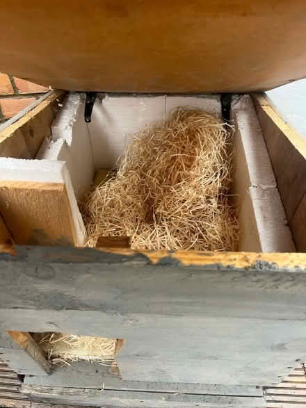 Photo of free Insulated wood outdoor cats house (Loughton IG10) #2
