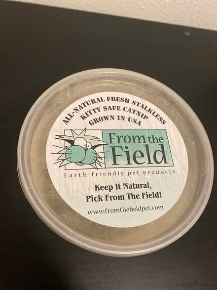 Photo of free Catnip (Richmond) #1